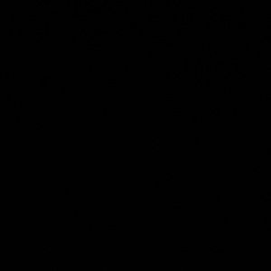 Meet your Posher, Ashton